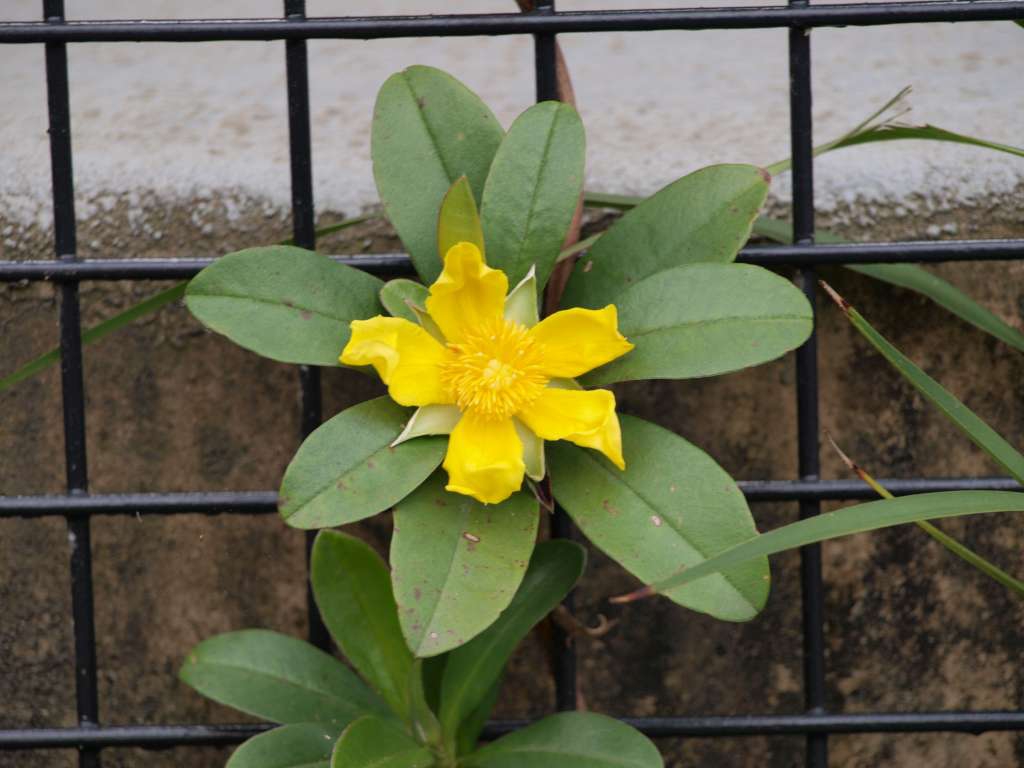 20100923_020738_Zbynek_P9237367-1024.jpg