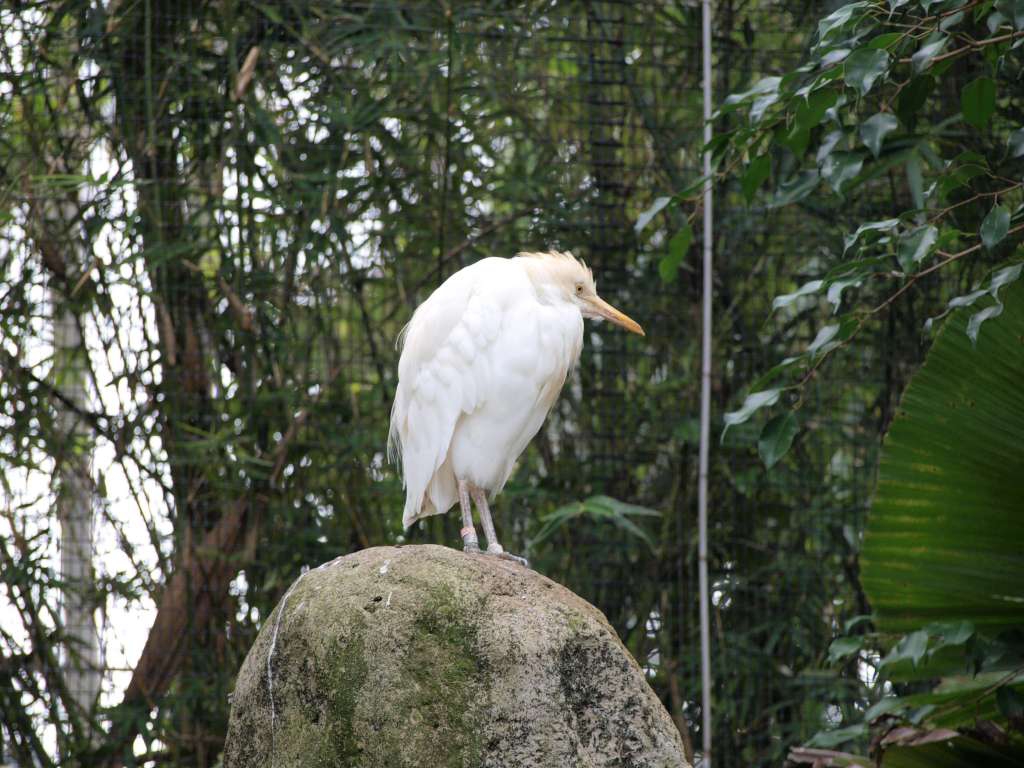 20100923_024944_Zbynek_P9237405-1024.jpg