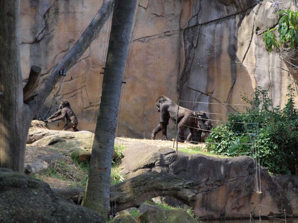 20100923_051328_Zbynek_P9237614-1024.jpg