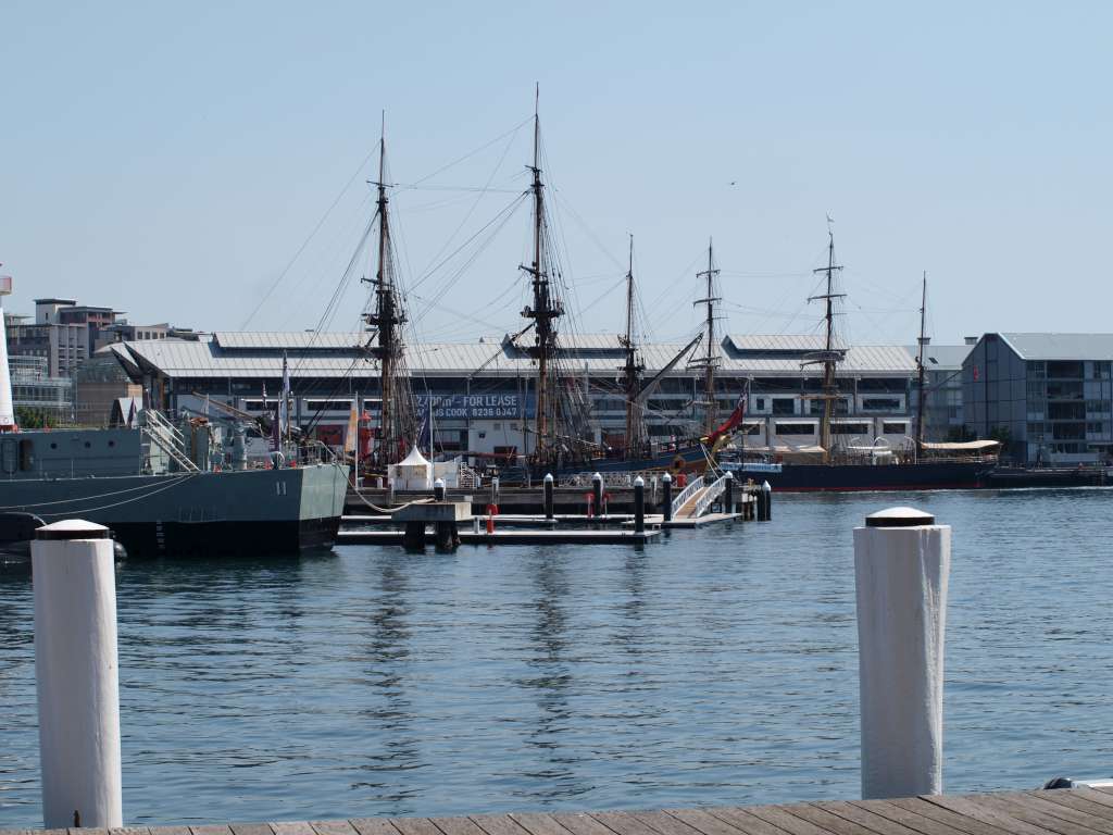 P9217017-1024.jpg
