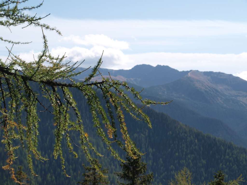 Nízké Tatry
