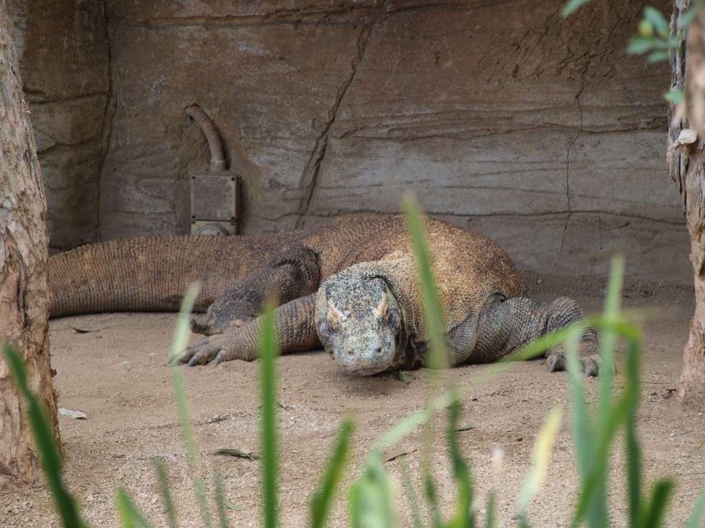 20100923_061801_Zbynek_P9237755-1024.jpg