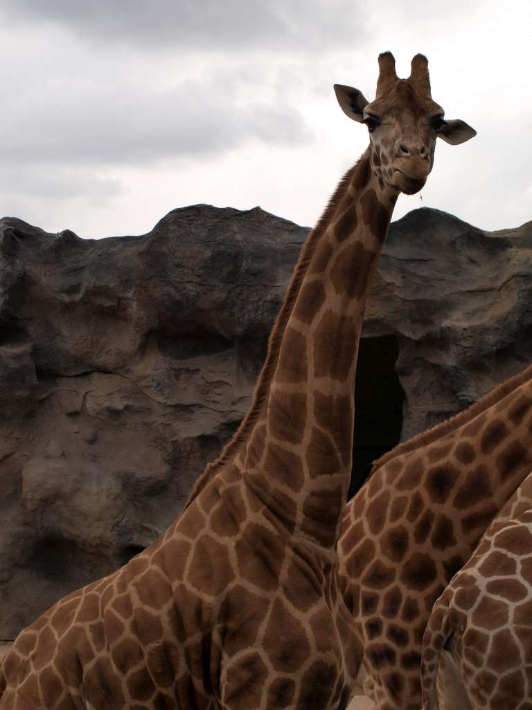 20100923_062345_Zbynek_P9237777-1024.jpg