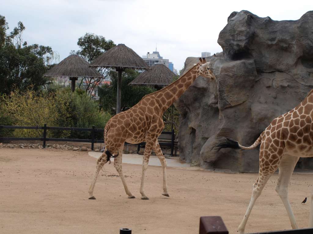 20100923_062546_Zbynek_P9237780-1024.jpg