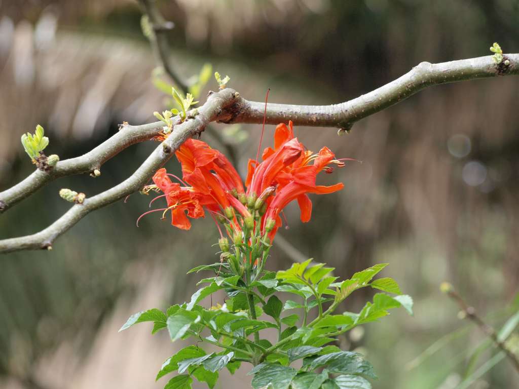 20100923_062944_Zbynek_P9237789-1024.jpg