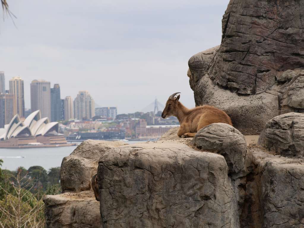 20100923_063228_Zbynek_P9237802-1024.jpg
