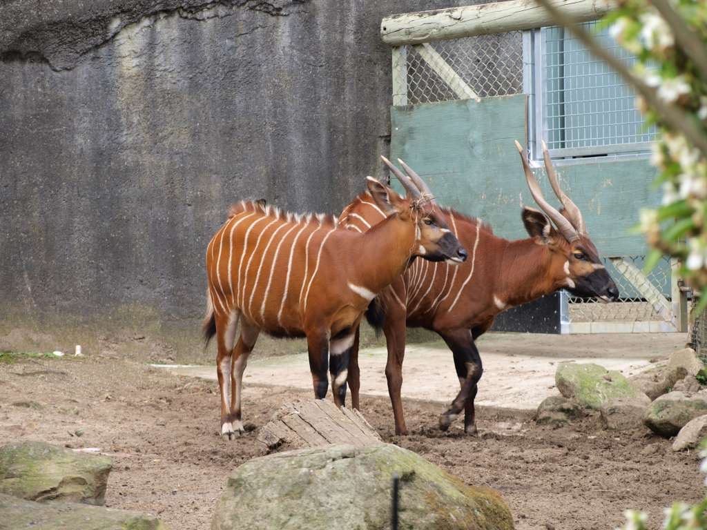 20100923_063311_Zbynek_P9237806-1024.jpg