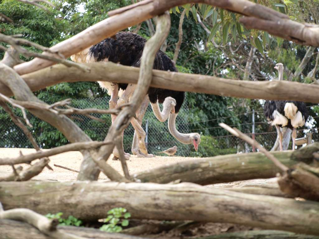 20100923_063515_Zbynek_P9237810-1024.jpg