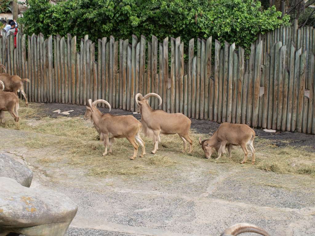 20100923_063659_Zbynek_P9237819-1024.jpg