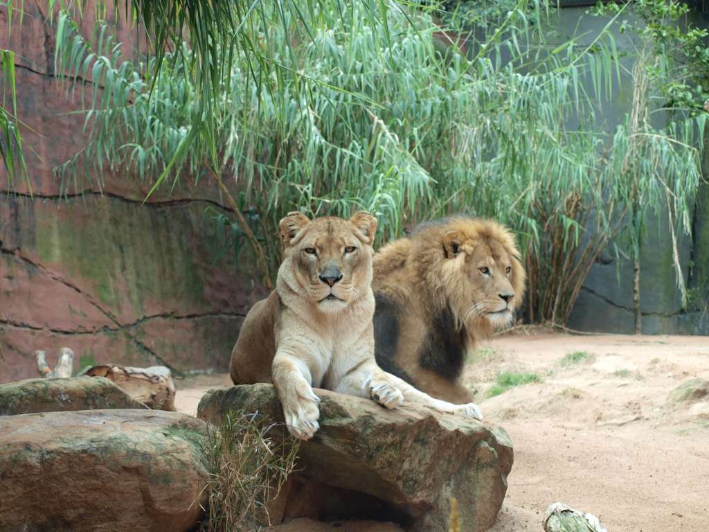 20100923_064442_Zbynek_P9237824-1024.jpg