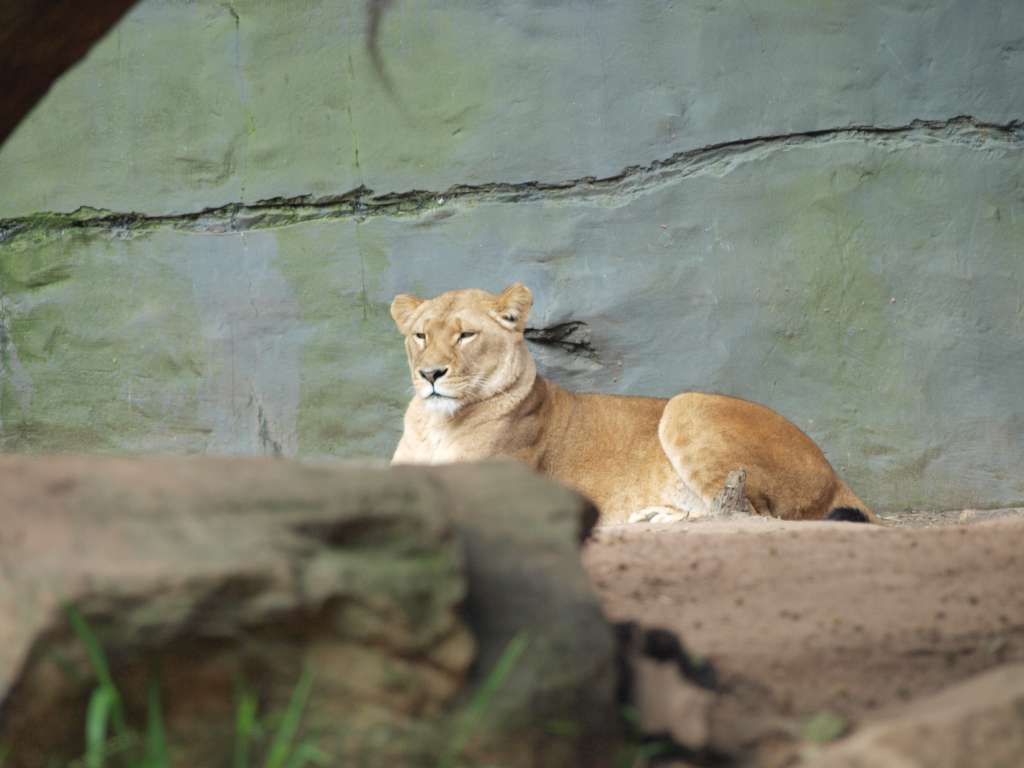 20100923_064530_Zbynek_P9237836-1024.jpg