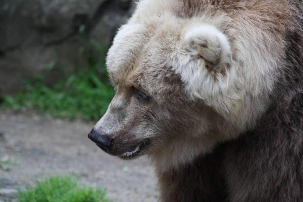 20100923_064808_Vlada_DPP_1245-1024.jpg