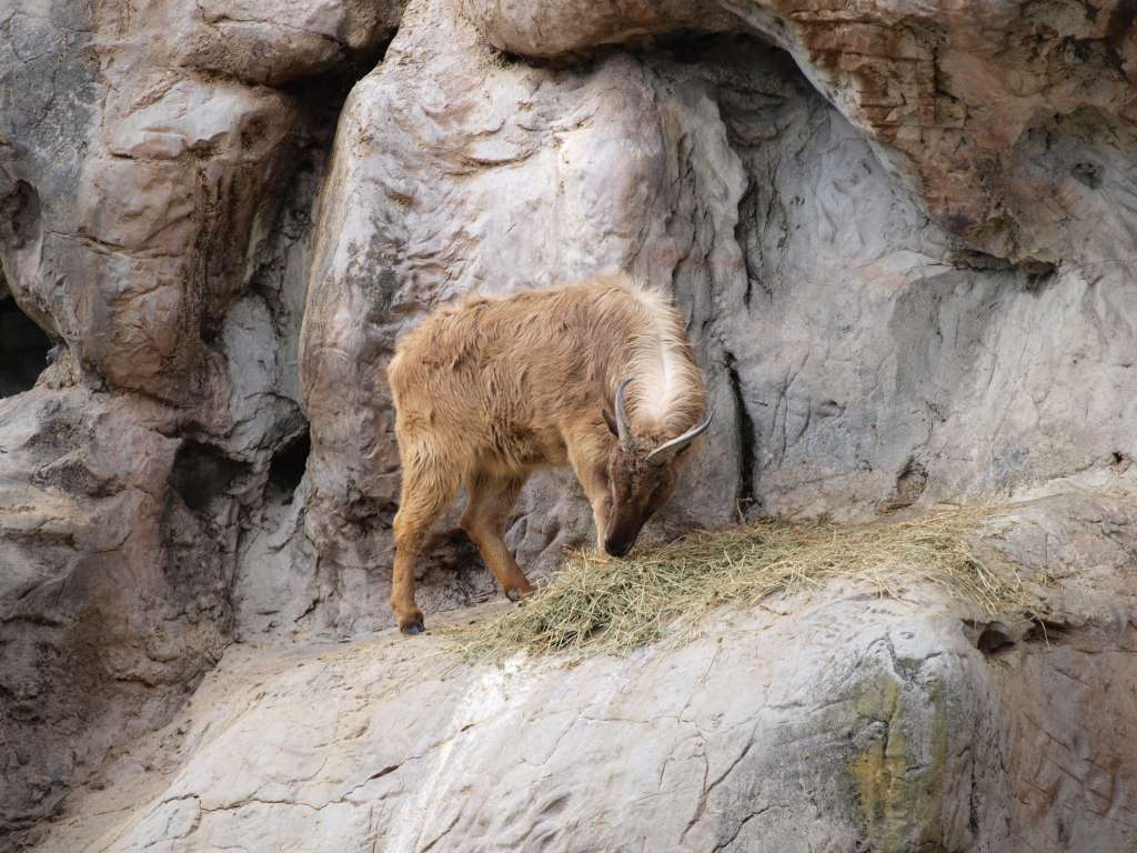 20100923_065136_Zbynek_P9237865-1024.jpg