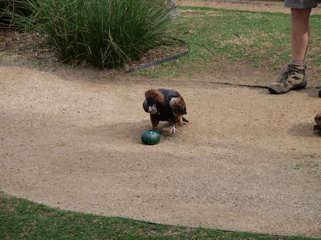 20100923_070637_Zbynek_P9237881-1024.jpg