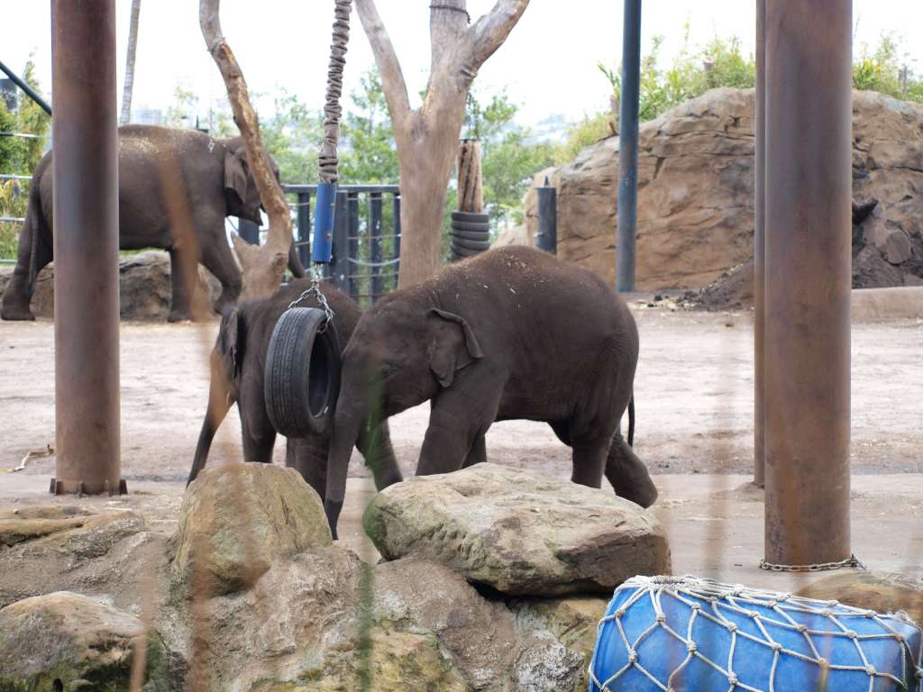 20100923_071926_Zbynek_P9237919-1024.jpg