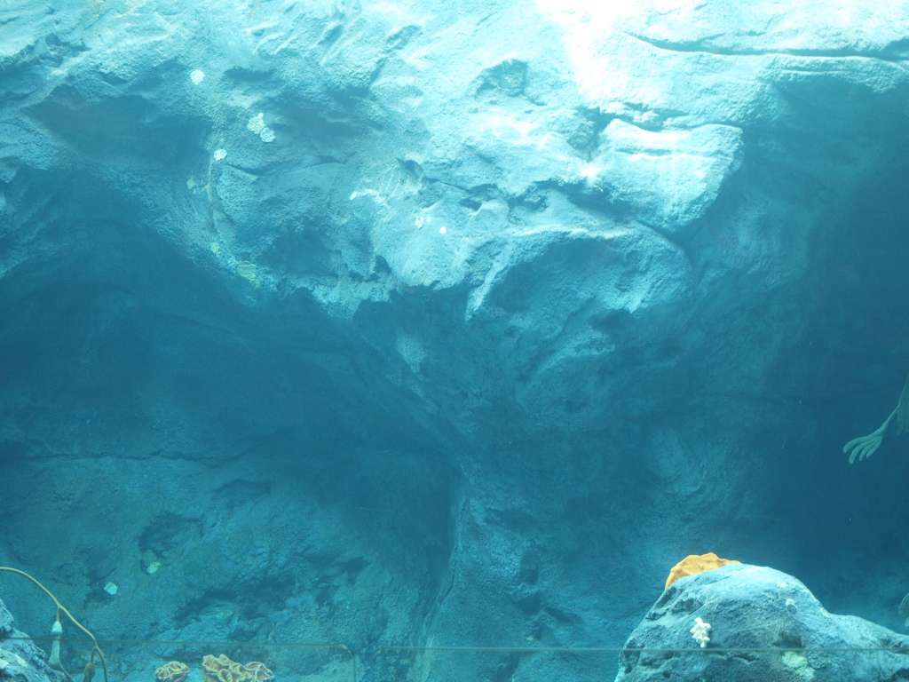 20100923_075043_Zbynek_P9237940-1024.jpg