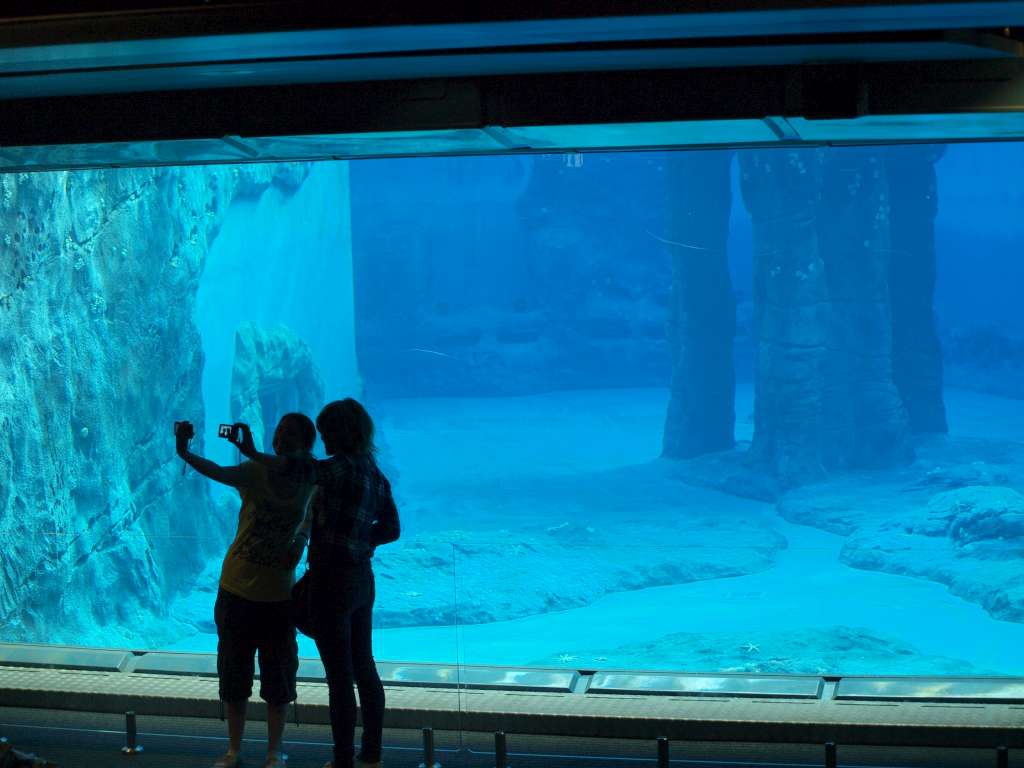 20100923_075146_Zbynek_P9237941-1024.jpg