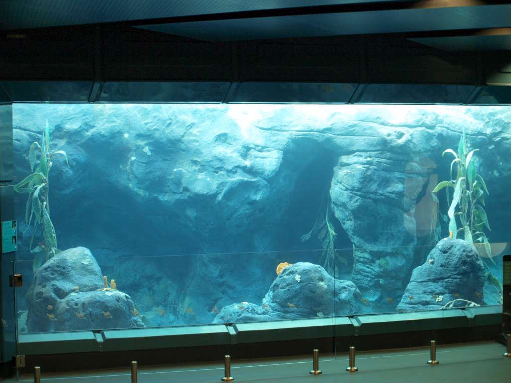 20100923_075312_Zbynek_P9237944-1024.jpg