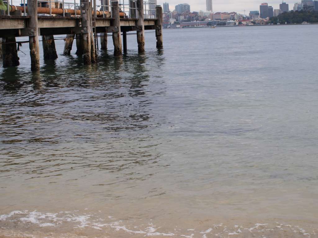 20100923_085633_Zbynek_P9237972-1024.jpg