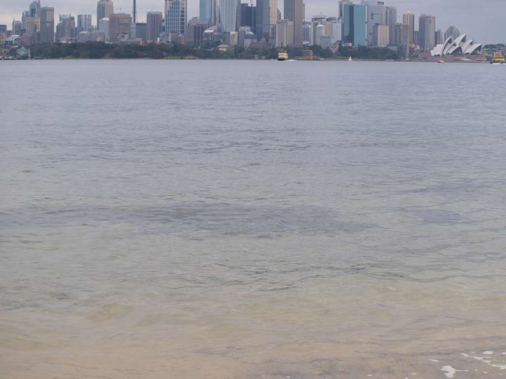 20100923_085635_Zbynek_P9237978-1024.jpg