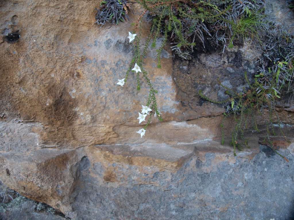 20100924_031948_Zbynek_P9248076-1024.jpg