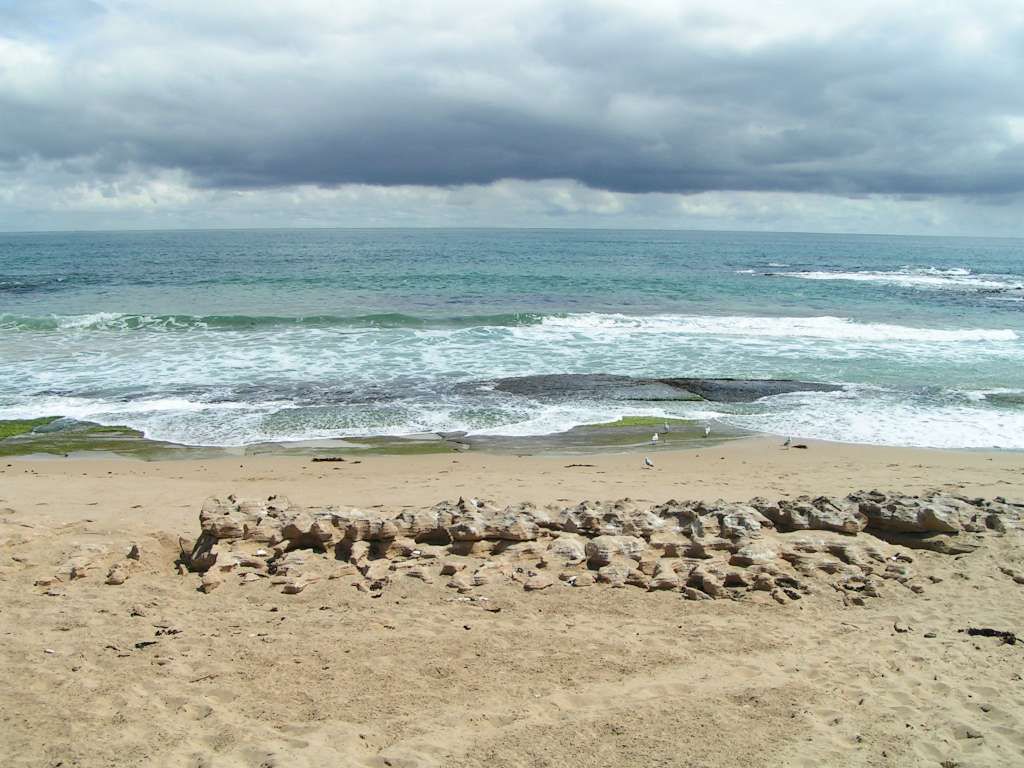 256T0517-1024.jpg