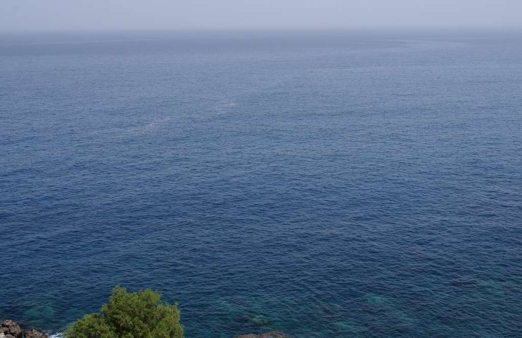 IMGP4499-1024.jpg