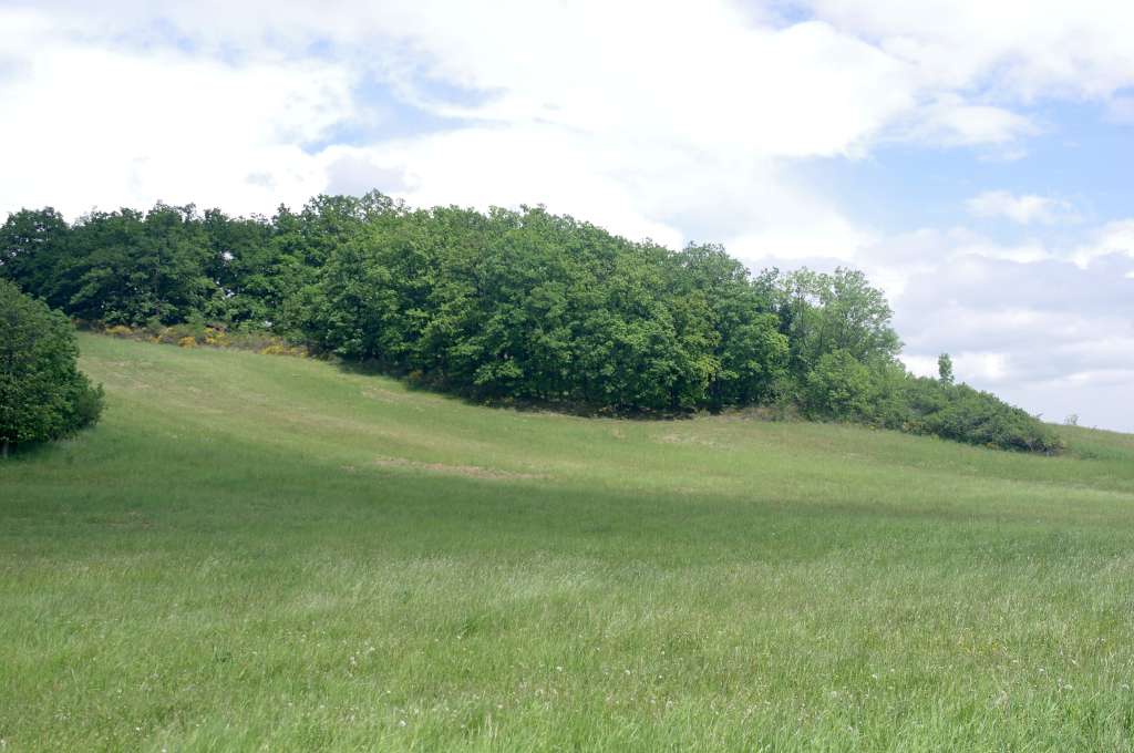 IMGP7898-1024.jpg