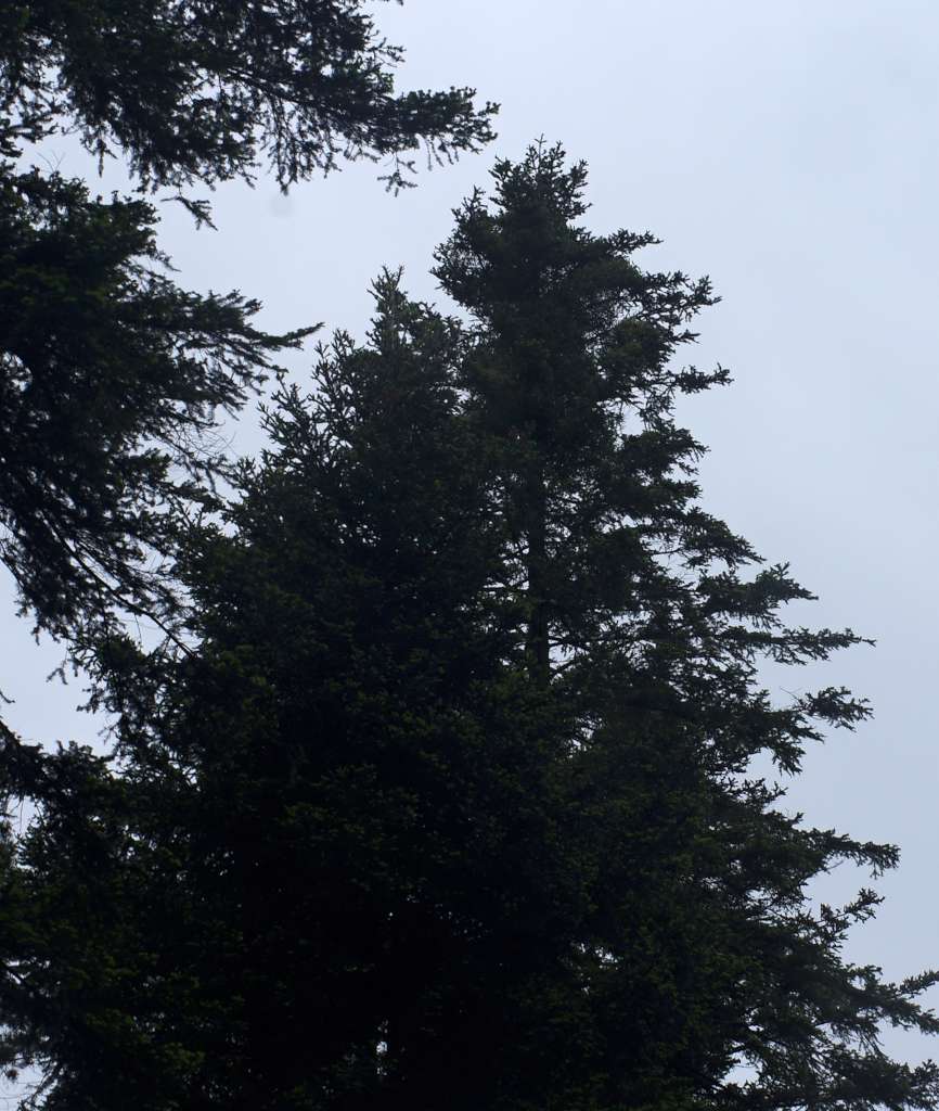 IMGP8030-1024.jpg