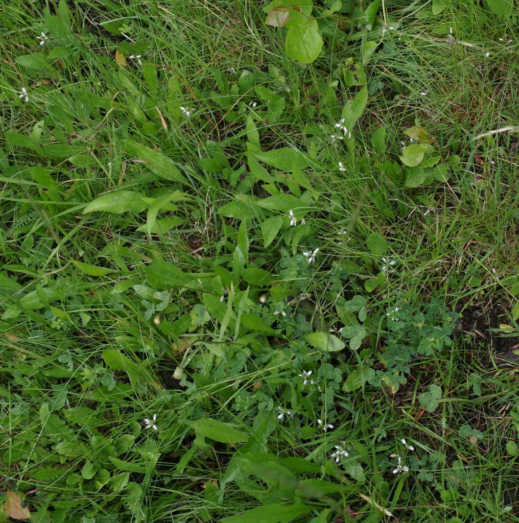 IMGP8058-1024.jpg