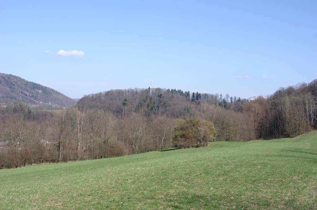 IMGP5468-1024.jpg