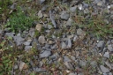 IMGP5560-1024.jpg