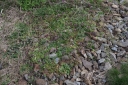 IMGP5563-1024.jpg