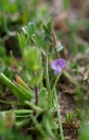 IMGP5580-1024.jpg