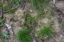 IMGP5584-1024.jpg