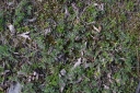 IMGP5625-1024.jpg