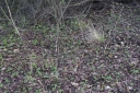 IMGP5650-1024.jpg
