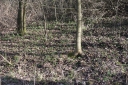 IMGP5652-1024.jpg