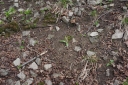 IMGP5695-1024.jpg