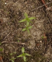 IMGP5747-1024.jpg