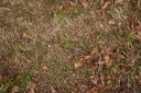 IMGP5751-1024.jpg