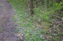 IMGP5810-1024.jpg