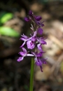 IMGP5816-1024.jpg