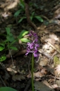 IMGP5819-1024.jpg
