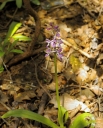 IMGP5825-1024.jpg