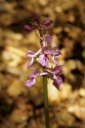 IMGP5826-1024.jpg
