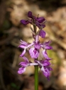 IMGP5830-1024.jpg