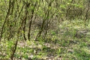 IMGP5836-1024.jpg