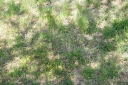 IMGP5837-1024.jpg
