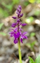 IMGP5855-1024.jpg